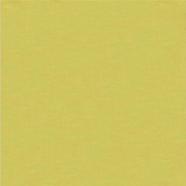 4070.3 by Kravet Design Designer Fabric in our sample Silk 100% India See Sample Horizontal: See Sample and Vertical: See Sample 53.5 inches - Swanky Fabrics -