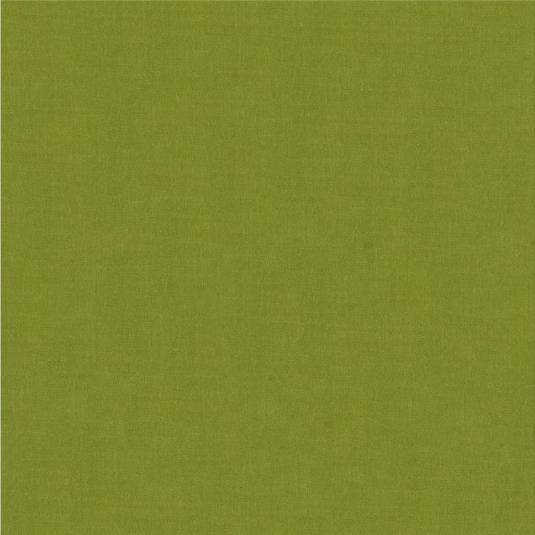 4070.3 by Kravet Design Designer Fabric in our sample Silk 100% India See Sample Horizontal: See Sample and Vertical: See Sample 53.5 inches - Swanky Fabrics -