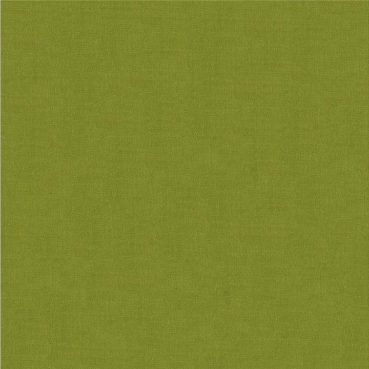 4070.3 by Kravet Design Designer Fabric - Silk 100% India - H" -, V: - 53.5 inches  - Swanky Fabrics -  Kravet Design