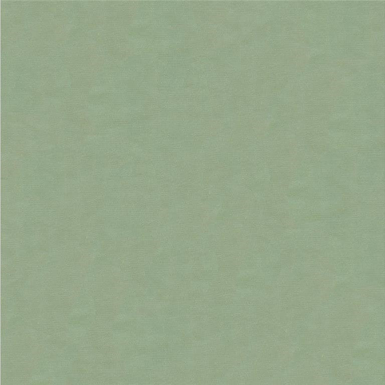 4070.5252 by Kravet Design Designer Fabric in our sample Silk 100% India See Sample Horizontal: See Sample and Vertical: See Sample 53.5 inches - Swanky Fabrics -