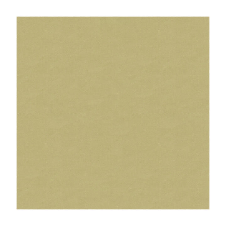 4070-106 by Kravet Design Designer Fabric SILK - 100% India Horizontal: and Vertical: 53.5 - Swanky Fabrics -