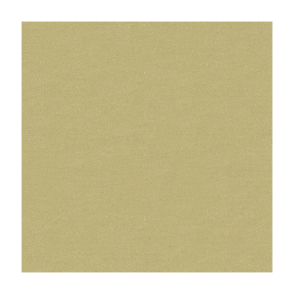 4070-106 by Kravet Design Designer Fabric SILK - 100% India Horizontal: and Vertical: 53.5 - Swanky Fabrics -