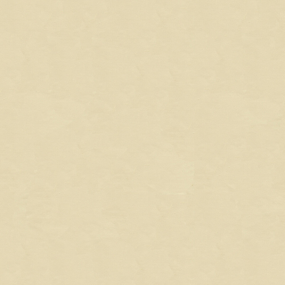 4070-1111 by Kravet Design Designer Fabric - SILK - 100% India - Horizontal: - and Vertical: - 53.5 - Swanky Fabrics -