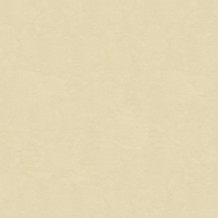 4070-1111 by Kravet Design Designer Fabric - SILK - 100% India - Horizontal: - and Vertical: - 53.5 - Swanky Fabrics -
