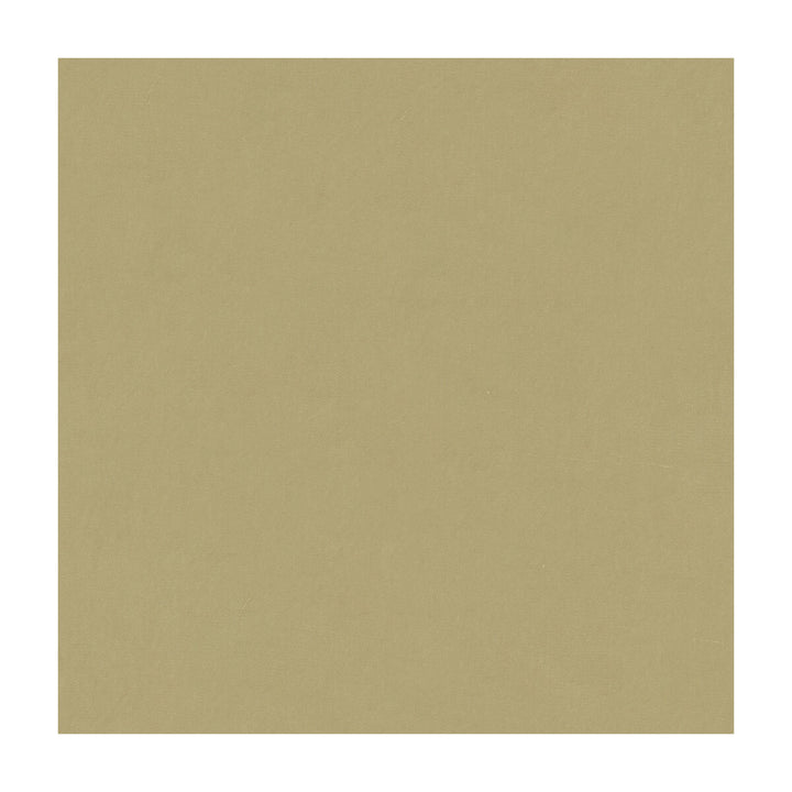 4070-1600 by Kravet Design Designer Fabric SILK - 100% India Horizontal: and Vertical: 53.5 - Swanky Fabrics -