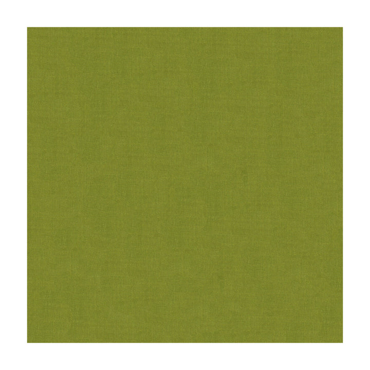 4070-30 by Kravet Design Designer Fabric SILK - 100% India Horizontal: and Vertical: 53.5 - Swanky Fabrics -