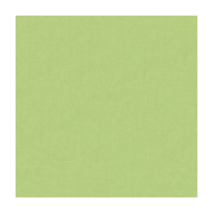 4070-330 by Kravet Design Designer Fabric SILK - 100% India Horizontal: and Vertical: 53.5 - Swanky Fabrics -