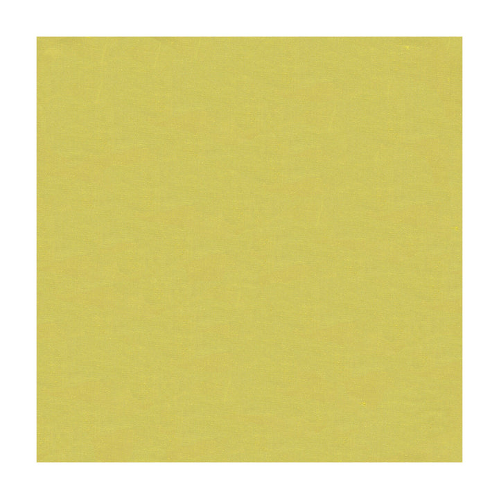 4070-3 by Kravet Design Designer Fabric - SILK - 100% India - Horizontal: - and Vertical: - 53.5 - Swanky Fabrics -