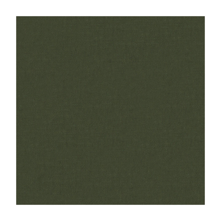 4070-52 by Kravet Design Designer Fabric SILK - 100% India Horizontal: and Vertical: 53.5 - Swanky Fabrics -