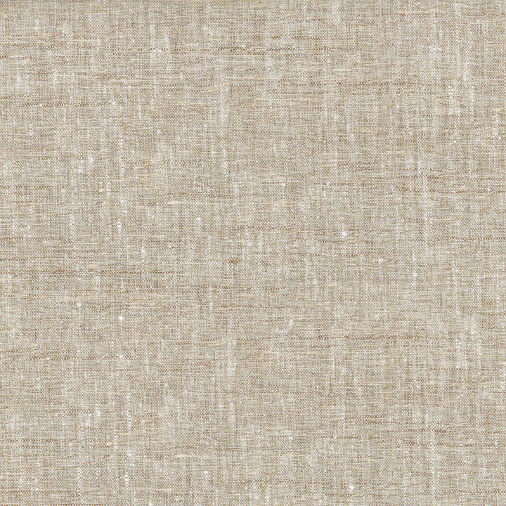 Accent Hemp 407410 by PKL Studio Designer Fabric - 97%Polyester 3%Cotton India 51000 Horizontal: 0 and Vertical: 0 54 - Swanky Fabrics -