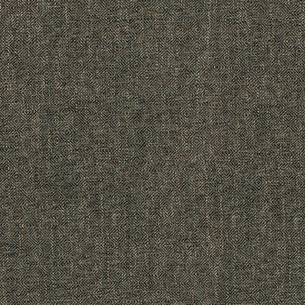 CARDIFF SABLE 408232 by Performance+ Designer Fabric - 45% LINEN 45% RAYON 10% SILK China 51000 Horizontal: 0.875 and Vertical: 0.875 56 - Swanky Fabrics -