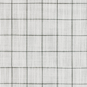 Concord Pane Domino 408500 by Performance Designer Fabric