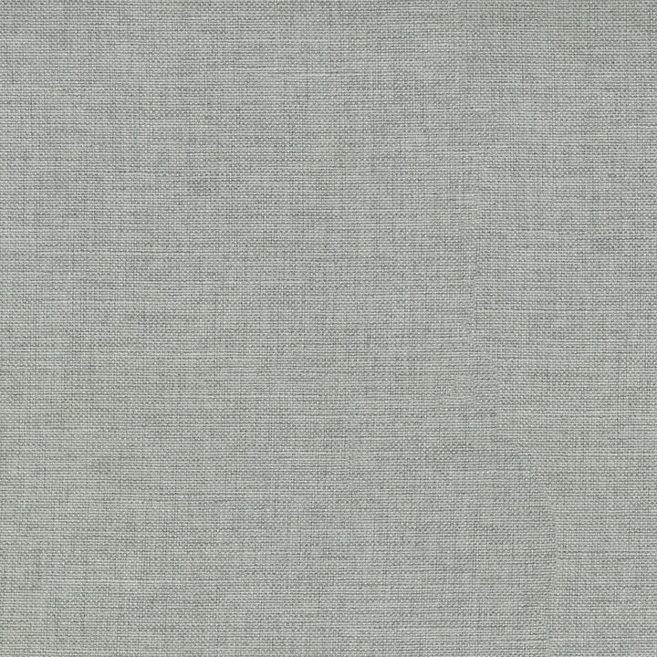 Reba Sterling 409111 by PKL Studio Designer Fabric - Base:100% Polyester Back:100% Acrylic CHINA 51000 Horizontal: 0 and Vertical: 0 55 - Swanky Fabrics -