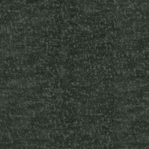 Teddy Char 409462 by Performance Designer Fabric