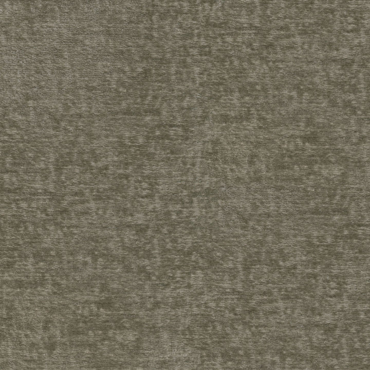 Teddy Fossil 409464 by Performance+ Designer Fabric - 100% Spun Polyester China 51000 Horizontal: N/A and Vertical: N/A 55 - Swanky Fabrics -