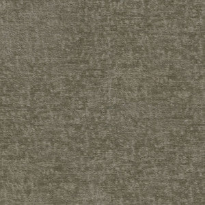 Teddy Fossil 409464 by Performance Designer Fabric