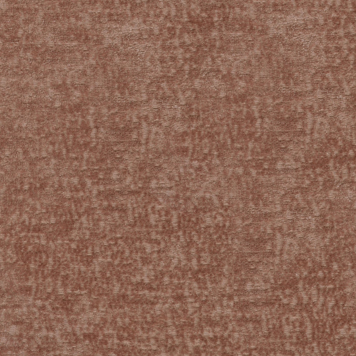 Teddy Blush 409469 by Performance Designer Fabric - Face:100% Polyester Back:100% Acrylic CHINA 51000 Horizontal: 0 and Vertical: 0 55 - Swanky Fabrics -