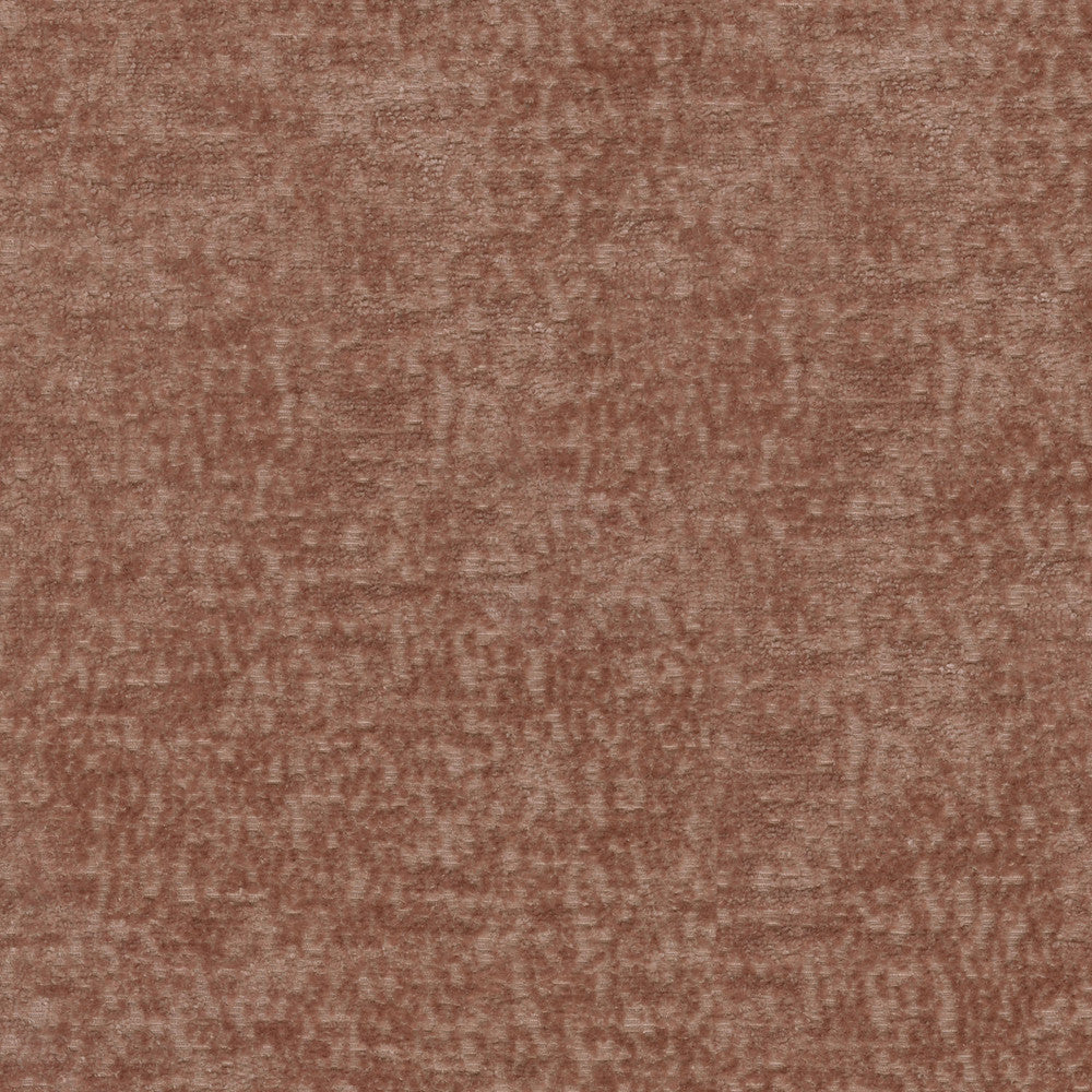 Teddy Blush 409469 by Performance Designer Fabric - Face:100%Polyester Back:100%Acrylic CHINA 51000 Horizontal: 0 and Vertical: 0 55 - Swanky Fabrics -