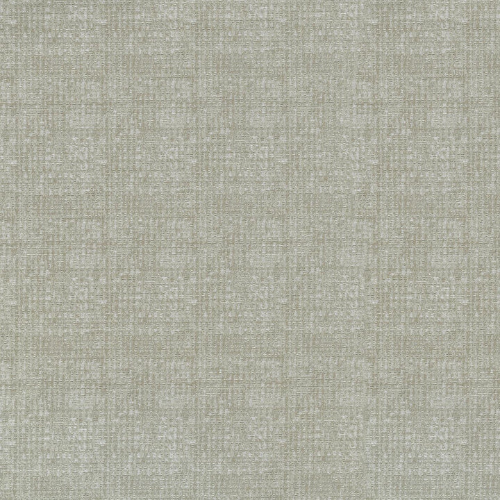 Odette Birch 409952 by PKL Studio Designer Fabric - 84% Polyester 16% Cotton INDIA 36000 Horizontal: 2.3 and Vertical: 3.7 55 - Swanky Fabrics -