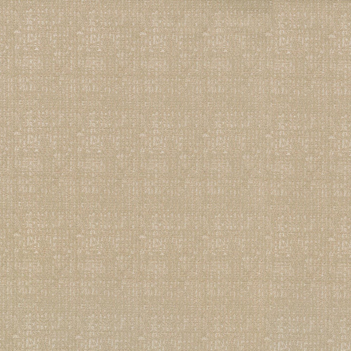 Odette Cameo 409954 by PKL Studio Designer Fabric - 84%Polyester 16%Cotton INDIA 36000 Horizontal: 2.3 and Vertical: 3.7 55 - Swanky Fabrics -