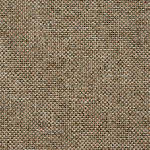 4100 Celadon by Charlotte Designer Fabric