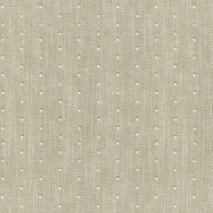 Swiss Dot Emb Linen by PK Lifestyles Designer Fabric