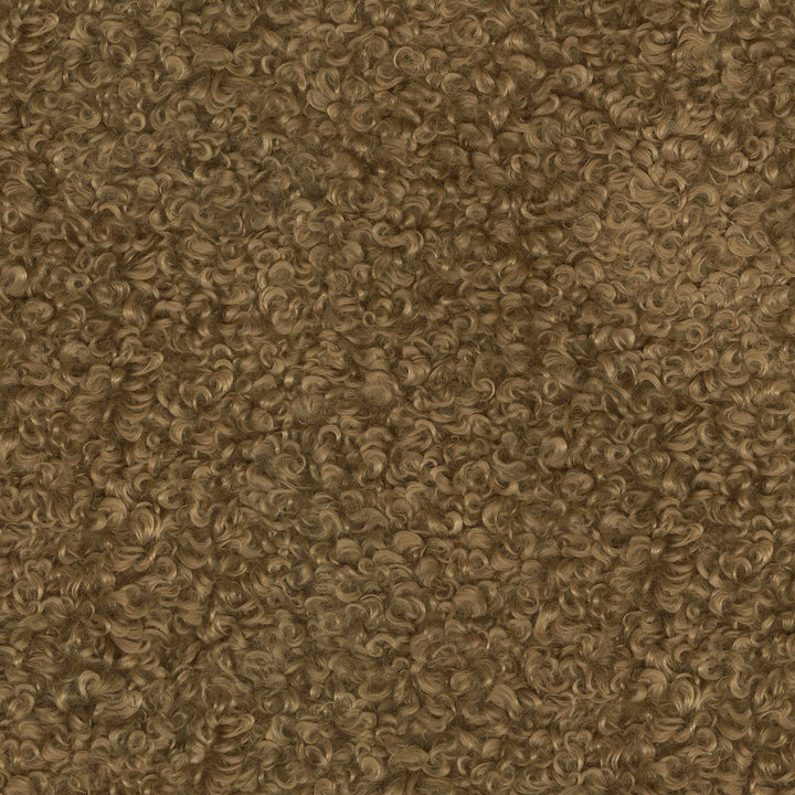 Curly Whirly Camel 410232 by PKL Studio Designer Fabric - 100%Polyester CHINA 51000 Horizontal: 0 and Vertical: 0 61 - Swanky Fabrics -