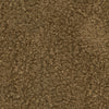 Curly Whirly Camel 410232 by PKL Studio Designer Fabric