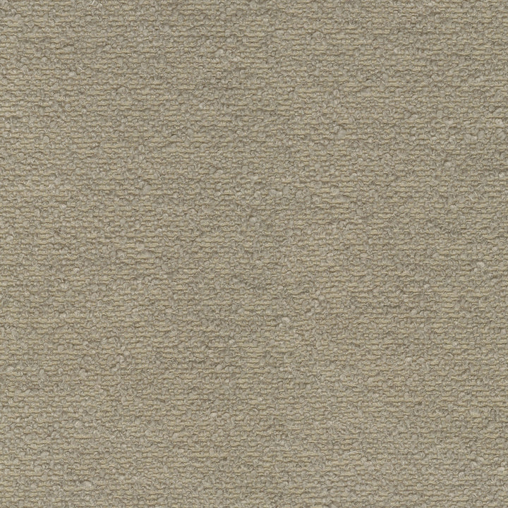 Perf Amara Mushroom 410406 by PKL Studio Designer Fabric - 70% polyester, 30% recycled polyester Back: 100% polyester woven bobded back China 51000 Horizontal: 0 and Vertical: 0 58 - Swanky Fabrics -