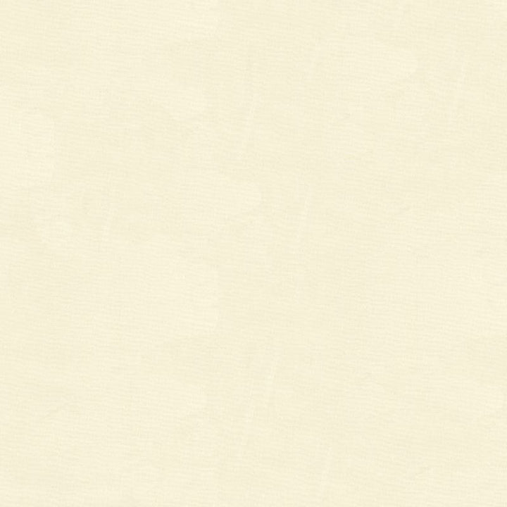 4106.1 by Kravet Basics Designer Fabric in our sample Polyester 100% Turkey See Sample Horizontal: See Sample and Vertical: See Sample 118 inches - Swanky Fabrics -