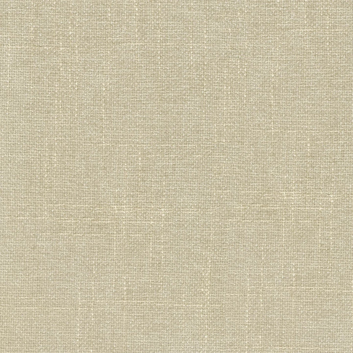 Perf Mixology Parchment 410840 by Performance Designer Fabric - Base:80% Polyester 20% Viscose Back:100% Acrylic needlpunch/coating CHINA 51000 Horizontal: 0 and Vertical: 0 54 - Swanky Fabrics -