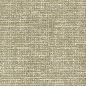 Perf Cocoluxe Rattan 410881 by Performance Designer Fabric