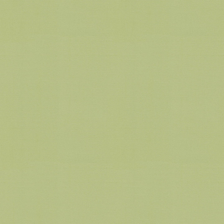 Vernon Bamboo 410911 by PKL Studio Designer Fabric 100% Cotton India 21000 Horizontal: 0 and Vertical: 0 55 - Swanky Fabrics -