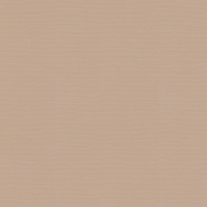Vernon Shell 410938 by PKL Studio Designer Fabric