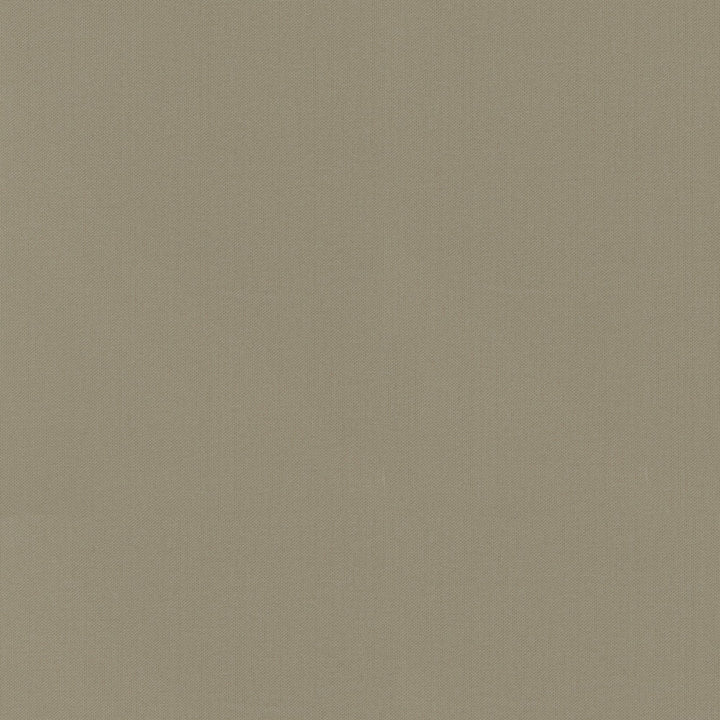 Vernon Hemp 410955 by PKL Studio Designer Fabric - 100% Cotton INDIA 21000 Horizontal: 0 and Vertical: 0 55 - Swanky Fabrics -