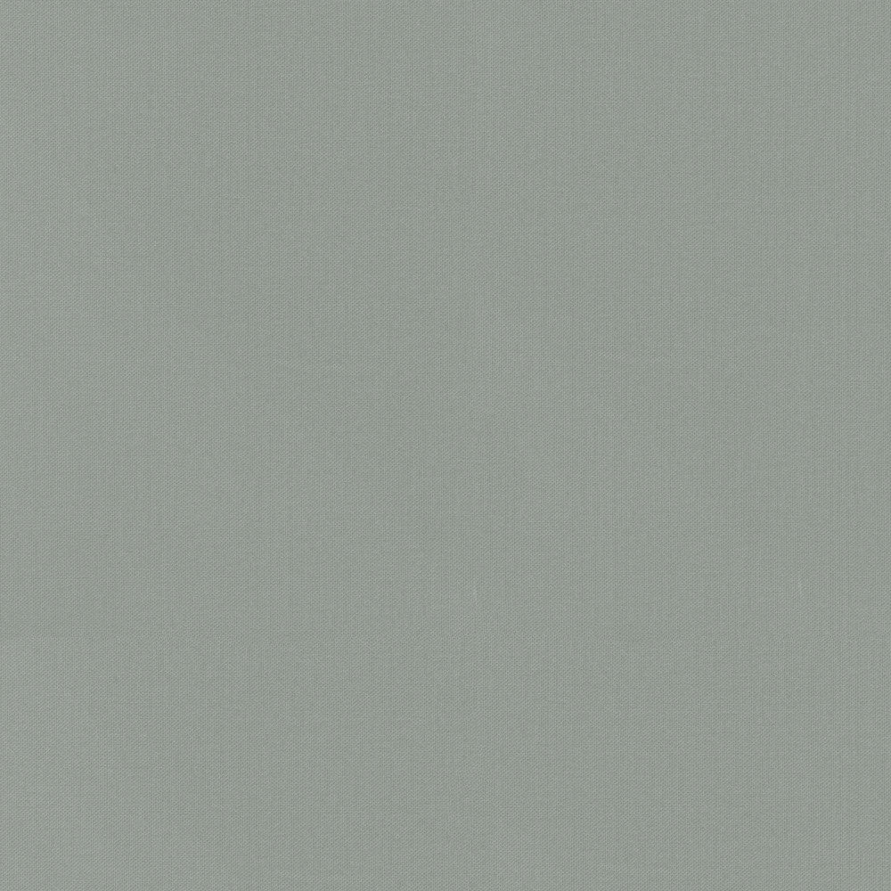 Vernon Pewter 410959 by PKL Studio Designer Fabric 100% Cotton India 21000 Horizontal: 0 and Vertical: 0 55 - Swanky Fabrics -