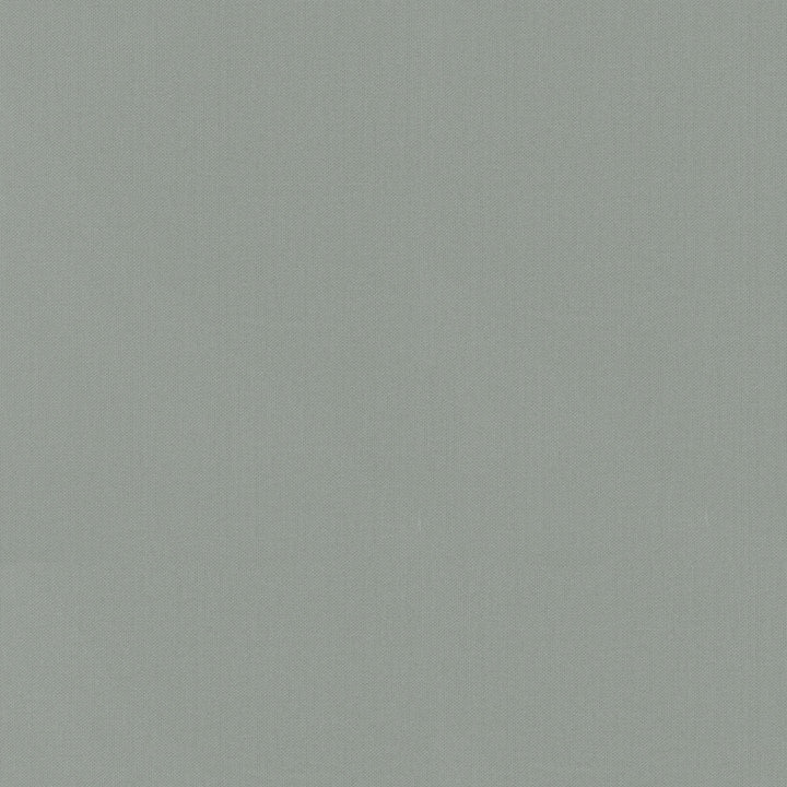 Vernon Pewter 410959 by PKL Studio Designer Fabric - 100% Cotton INDIA 21000 Horizontal: 0 and Vertical: 0 55 - Swanky Fabrics -