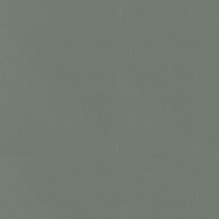 Vernon Charcoal 410962 by PKL Studio Designer Fabric - 100% Cotton INDIA 21000 Horizontal: 0 and Vertical: 0 55 - Swanky Fabrics -