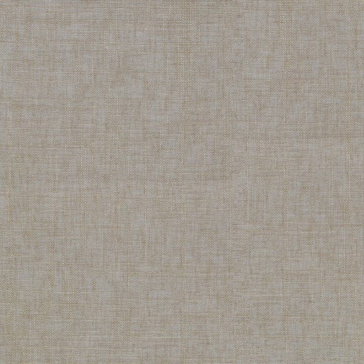 Angelina Linen 411102 by PKL Studio Designer Fabric 74% Polyester, 16% Cotton, 10% Linen India n/a Horizontal: N/A and Vertical: N/A 54 - Swanky Fabrics -