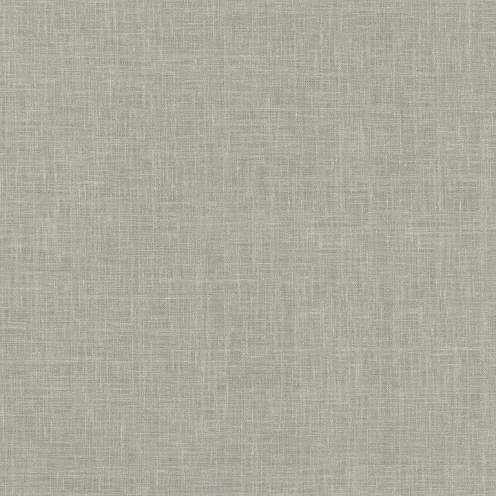 Isabella Silver 411113 by PKL Studio Designer Fabric 66% Polyester, 21% Cotton, 13% Linen India n/a Horizontal: N/A and Vertical: N/A 54 - Swanky Fabrics -