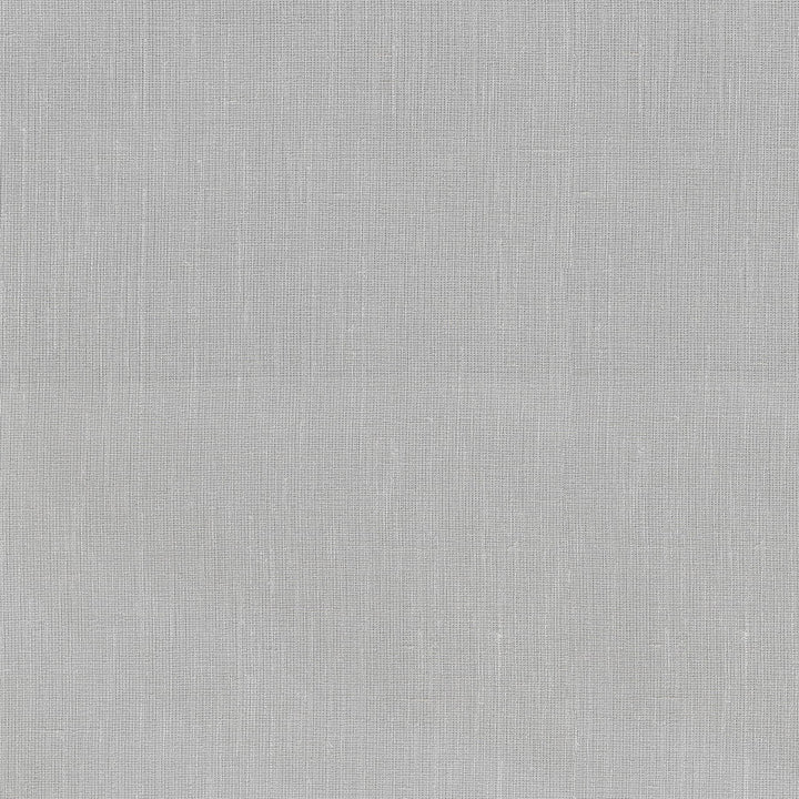 Ariana Silver 411131 by PKL Studio Designer Fabric 66% Polyester, 17% Rayon, 17% Linen India n/a Horizontal: N/A and Vertical: N/A 57 - Swanky Fabrics -