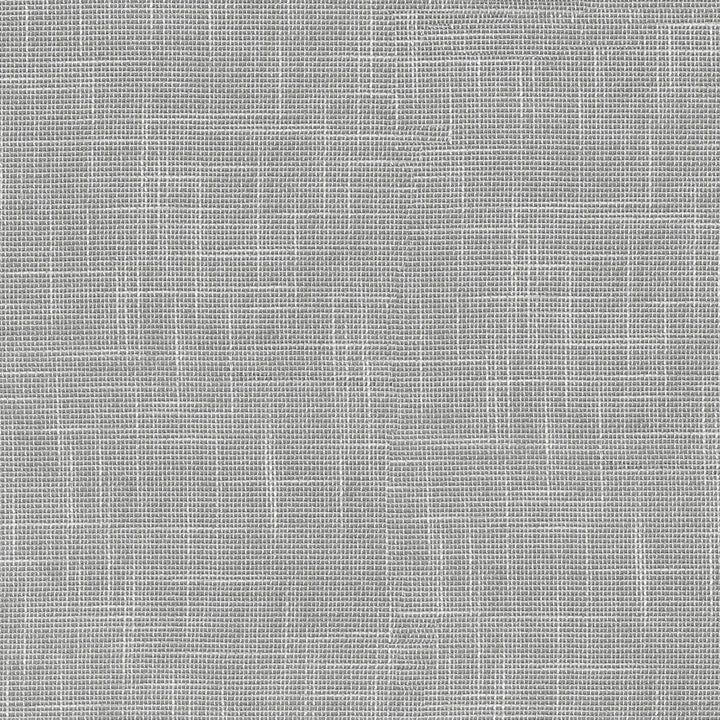 Sabrina Silver 411181 by PKL Studio Designer Fabric 100% Polyester India 28000 Horizontal: N/A and Vertical: N/A 56 - Swanky Fabrics -