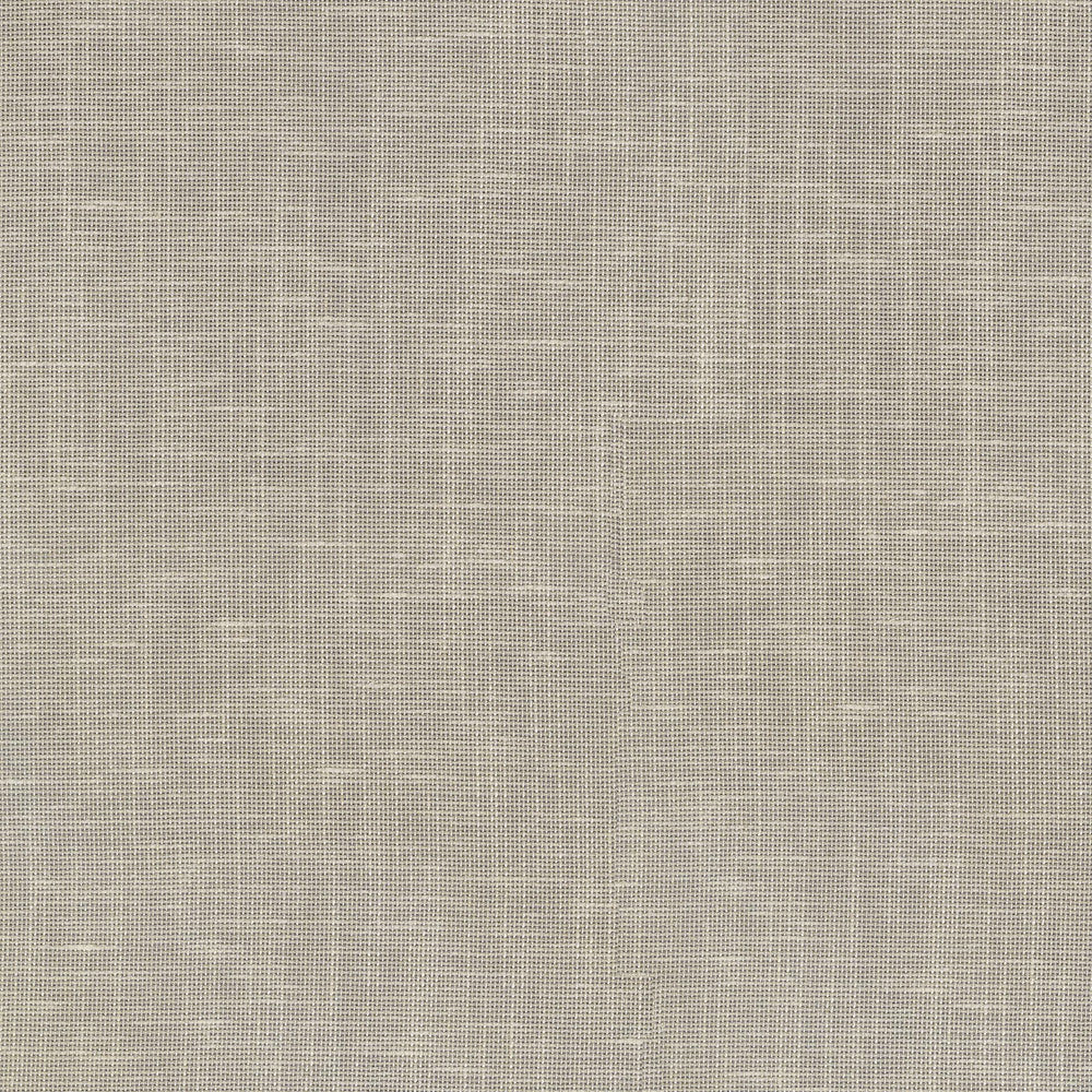 Bria Linen 411193 by PKL Studio Designer Fabric 34% Polyester, 15% Linen, 16% Cotton, 35% Rayon India n/a Horizontal: N/A and Vertical: N/A 54 - Swanky Fabrics -