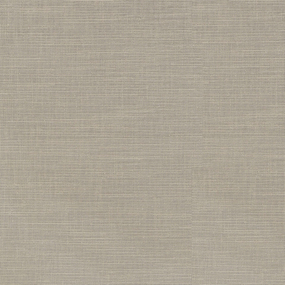 Chiara Linen 411222 by PKL Studio Designer Fabric 100% Polyester India n/a Horizontal: N/A and Vertical: N/A 54 - Swanky Fabrics -