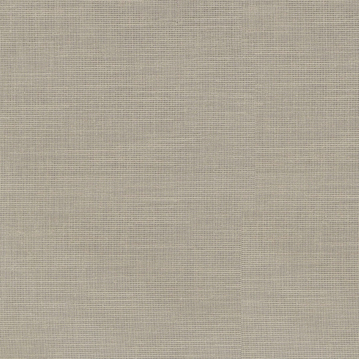 Chiara Linen 411222 by PKL Studio Designer Fabric 100% Polyester India n/a Horizontal: N/A and Vertical: N/A 54 - Swanky Fabrics -