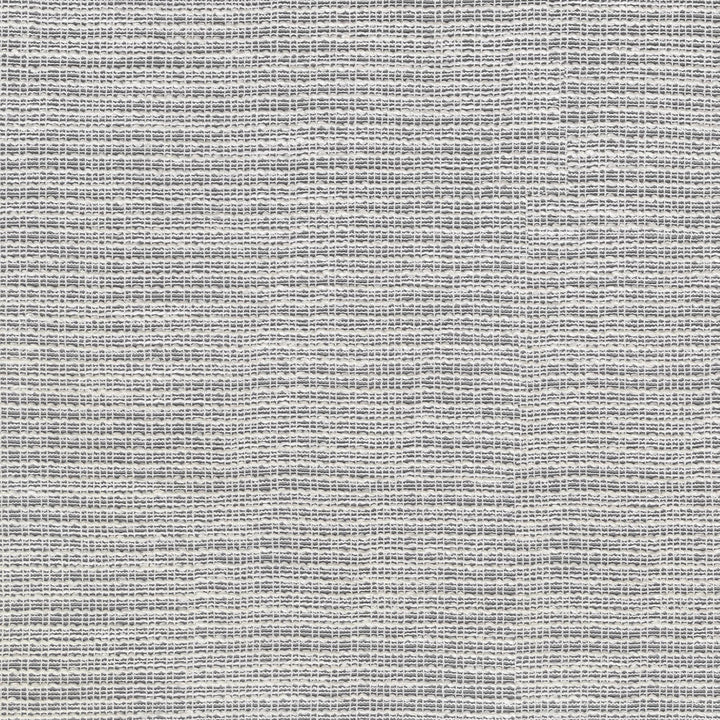 Sienna Snow 411300 by PKL Studio Designer Fabric 81% Polyester, 12% Cotton, 7% Rayon India n/a Horizontal: 2.5 and Vertical: 0.25 54 - Swanky Fabrics -