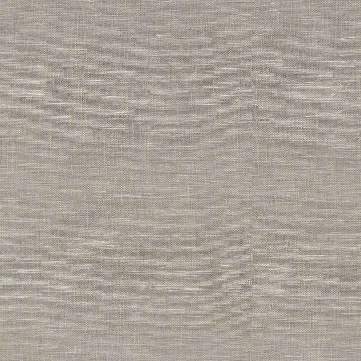 Zeta Natural 411364 by PKL Studio Designer Fabric 100% Linen India n/a Horizontal: N/A and Vertical: N/A 54 - Swanky Fabrics -