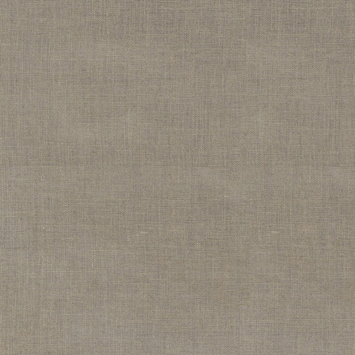 Zeta Linen 411365 by PKL Studio Designer Fabric 100% Linen India n/a Horizontal: N/A and Vertical: N/A 54 - Swanky Fabrics -