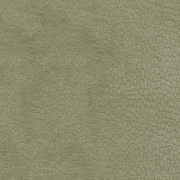 Performance Pebblestone Sage 411469 by PKL Studio Designer Fabric - 100% polyester China 51000 Horizontal: 6.8 and Vertical: 6.8 55 - Swanky Fabrics -