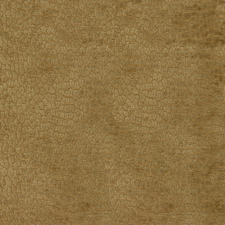 Performance Pebblestone Gold 411471 by PKL Studio Designer Fabric - 100% polyester China 51000 Horizontal: 6.8 and Vertical: 6.8 55 - Swanky Fabrics -